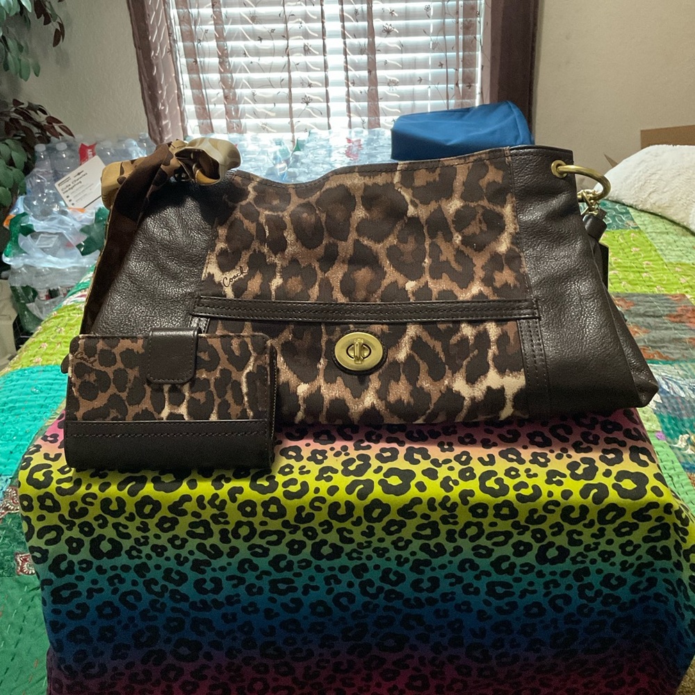 Coach Hobo And Wallet